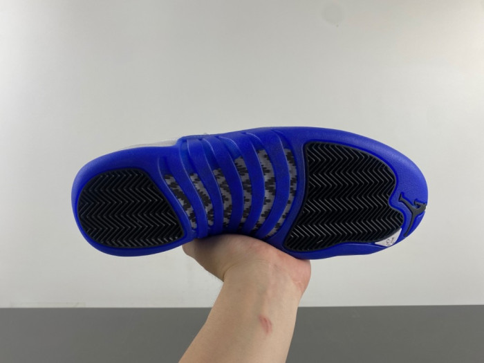 Air Jordan 12 “Blueberry” CT8013-140