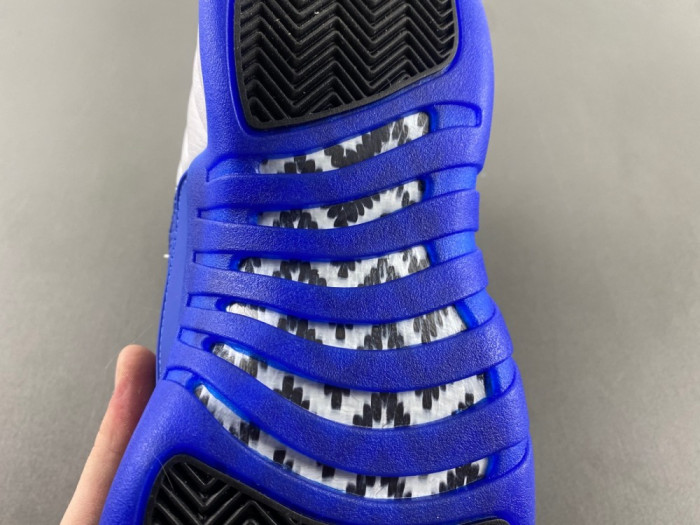 Air Jordan 12 “Blueberry” CT8013-140