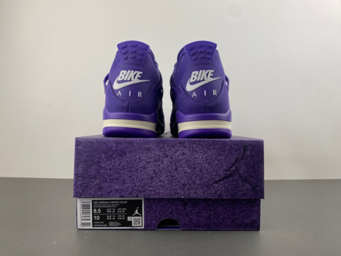 Nigel Sylvester x Air Jordan 4 HF4340-500