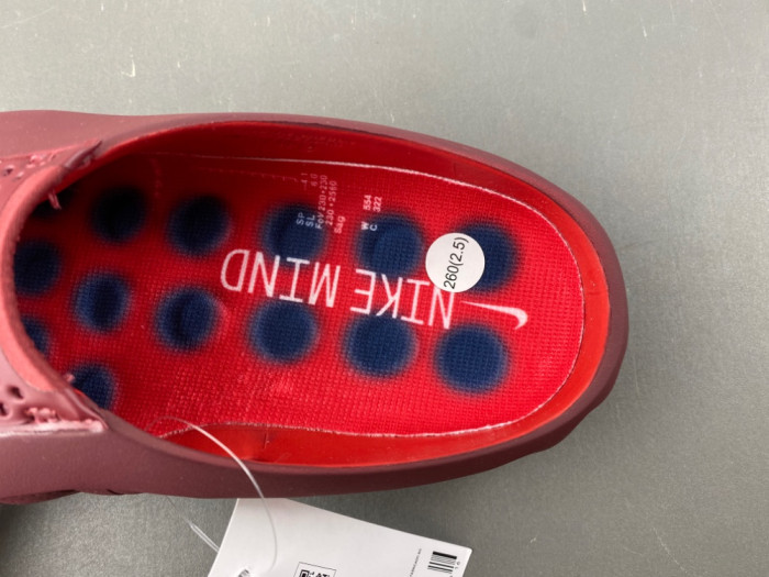 Nike Mind 001 
