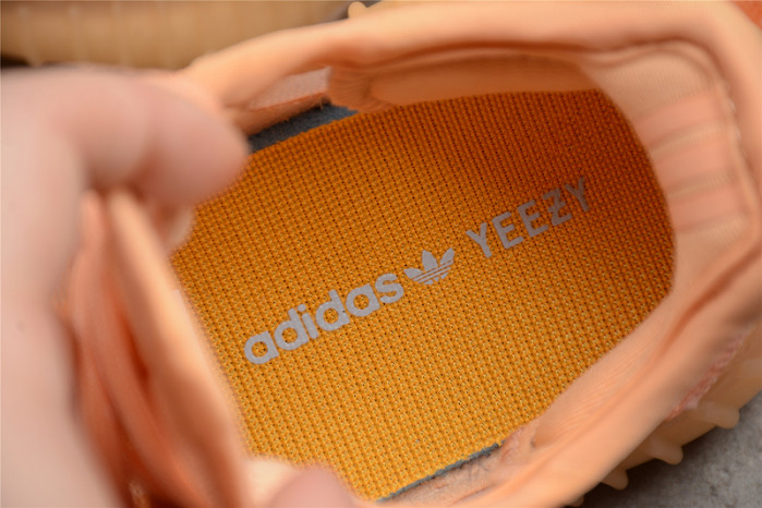 Ad1d*s kids 350 boost v2 "mono clay" gw2870